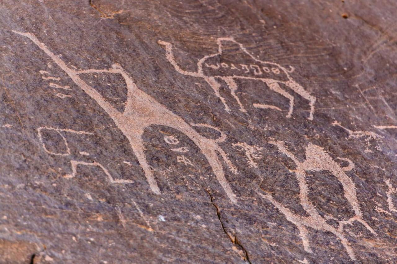 Harmony Luxury Camp Hotell Wadi Rum Eksteriør bilde