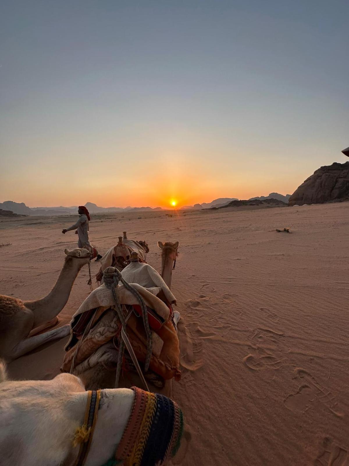 Harmony Luxury Camp Hotell Wadi Rum Eksteriør bilde