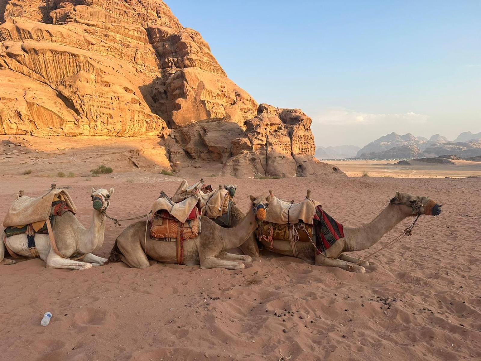 Harmony Luxury Camp Hotell Wadi Rum Eksteriør bilde