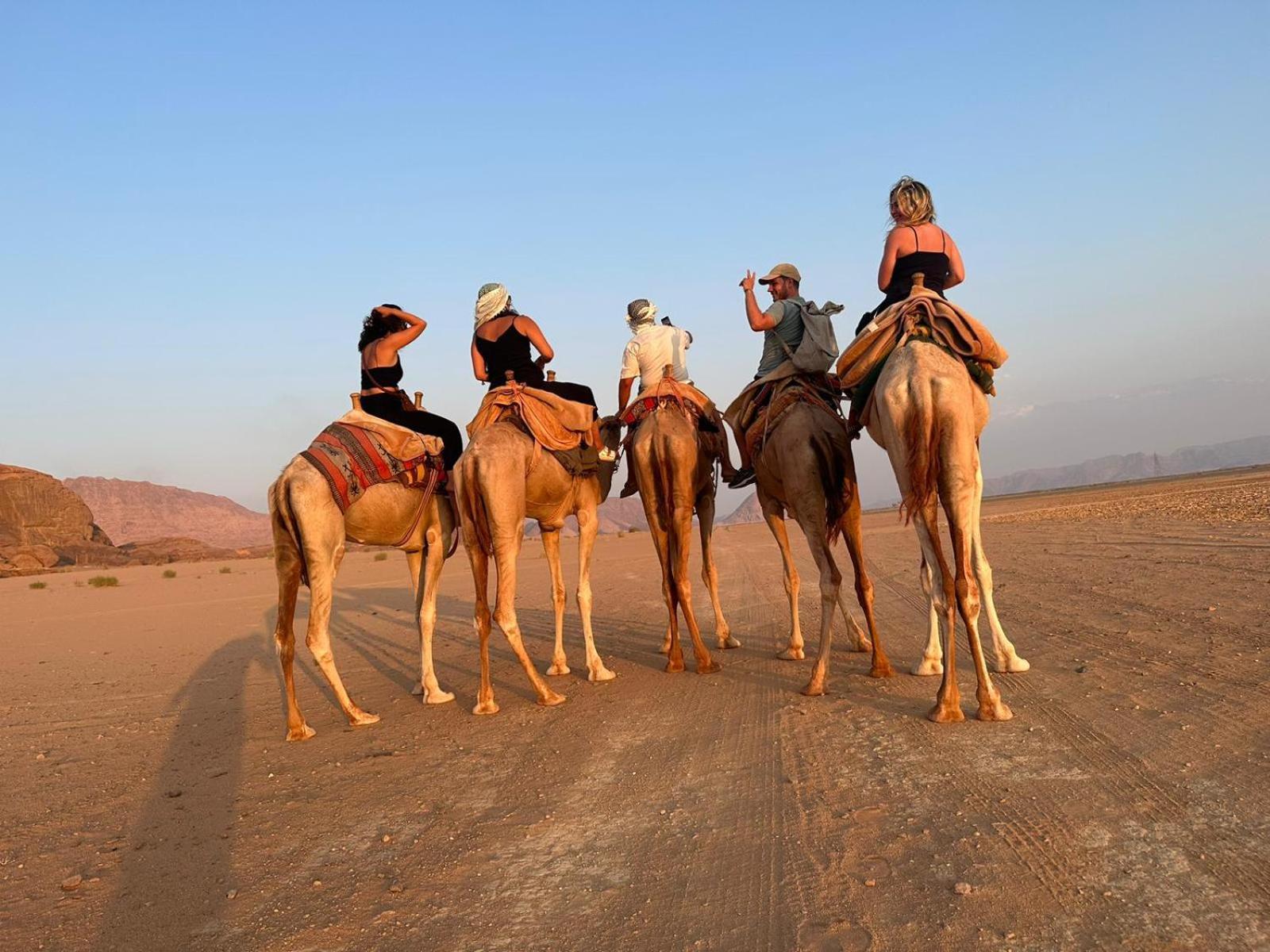 Harmony Luxury Camp Hotell Wadi Rum Eksteriør bilde